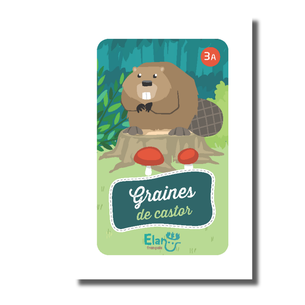 Elan Français 3 A jeu de cartes