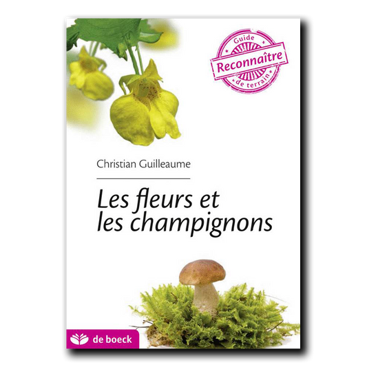 Guide de terrain : les fleurs et les champignons