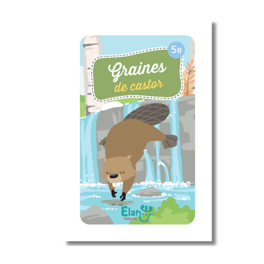 Elan Français 5 B jeu de cartes