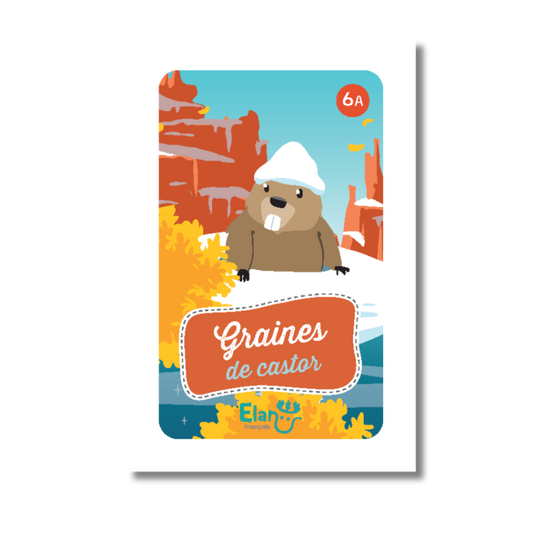 Elan Français 6 A jeu de cartes