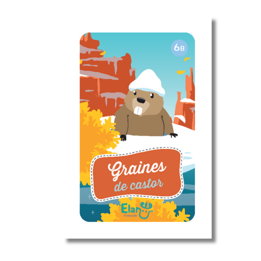 Elan Français 6 B jeu de cartes